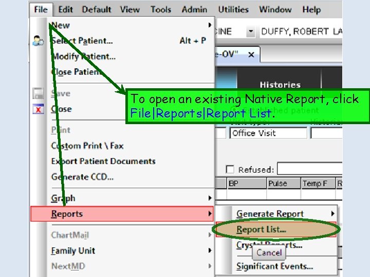 To open an existing Native Report, click File|Reports|Report List. 