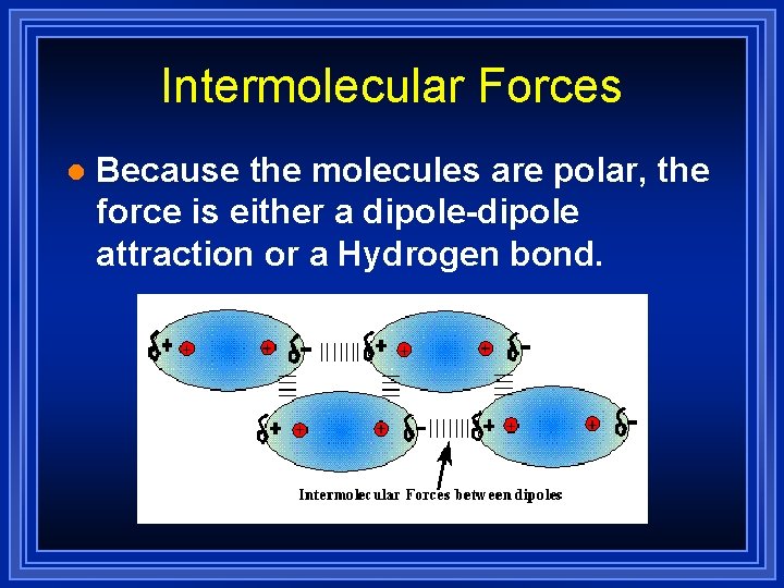 Intermolecular Forces l Because the molecules are polar, the force is either a dipole-dipole