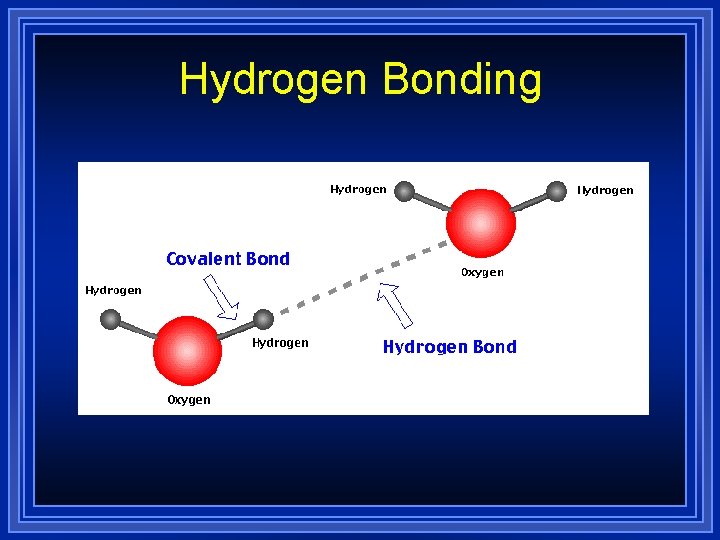 Hydrogen Bonding 