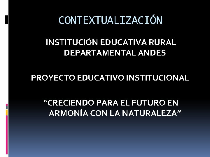 CONTEXTUALIZACIÓN INSTITUCIÓN EDUCATIVA RURAL DEPARTAMENTAL ANDES PROYECTO EDUCATIVO INSTITUCIONAL “CRECIENDO PARA EL FUTURO EN