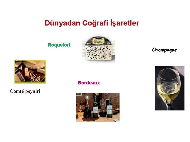 Dünyadan Coğrafi İşaretler Roquefort Champagne Bordeaux Comté peyniri 