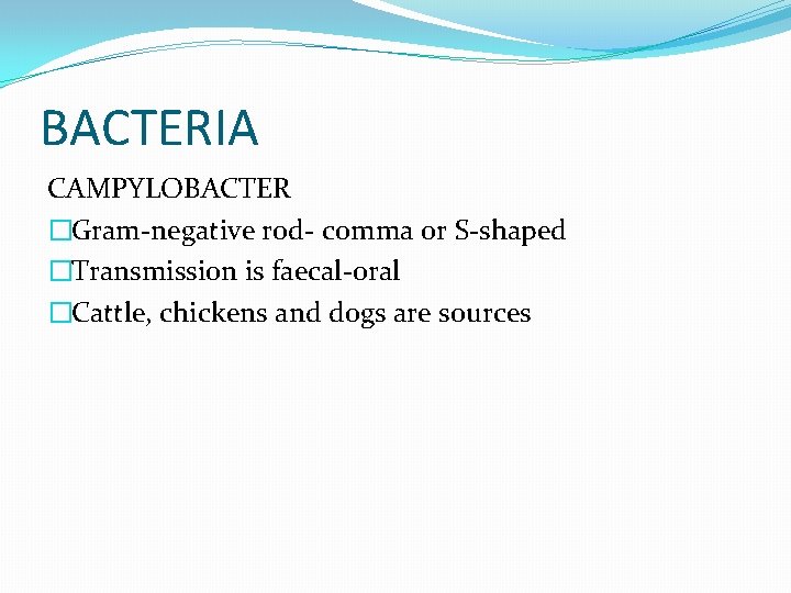 BACTERIA CAMPYLOBACTER �Gram-negative rod- comma or S-shaped �Transmission is faecal-oral �Cattle, chickens and dogs