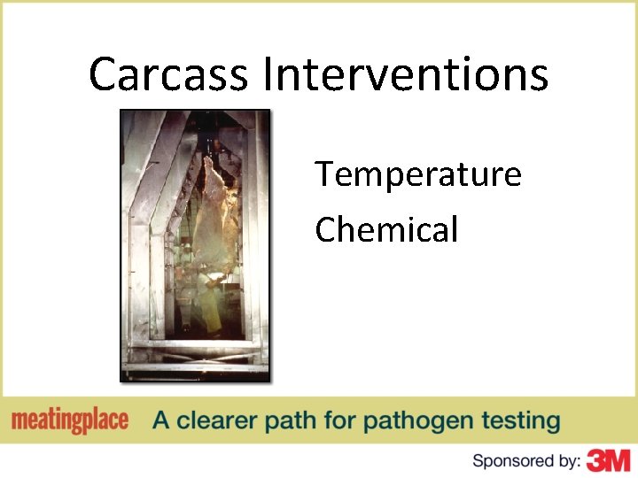 Carcass Interventions Temperature Chemical 