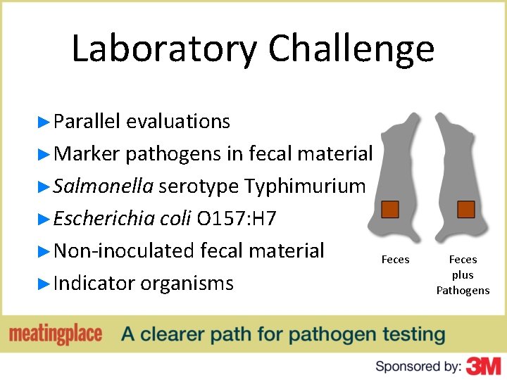 Laboratory Challenge ►Parallel evaluations ►Marker pathogens in fecal material ►Salmonella serotype Typhimurium ►Escherichia coli