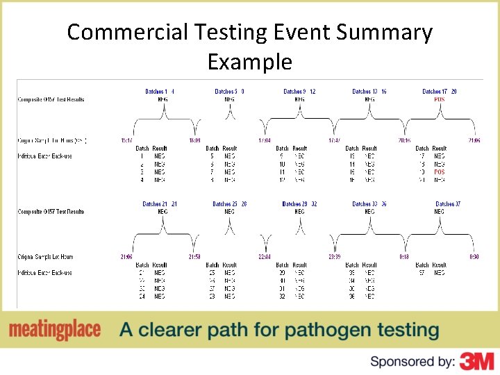 Commercial Testing Event Summary Example 