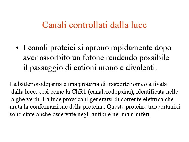 Canali controllati dalla luce • I canali proteici si aprono rapidamente dopo aver assorbito