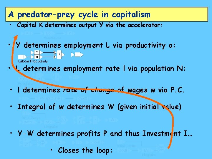 A predator-prey cycle in capitalism • Capital K determines output Y via the accelerator: