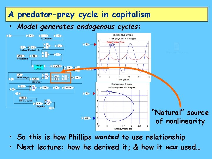 A predator-prey cycle in capitalism • Model generates endogenous cycles: “Natural” source of nonlinearity