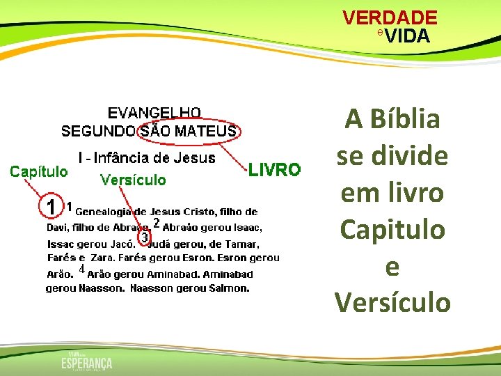 VERDADE e VIDA A Bíblia se divide em livro Capitulo e Versículo 