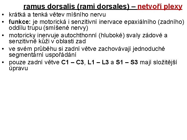 ramus dorsalis (rami dorsales) – netvoří plexy • krátká a tenká větev míšního nervu