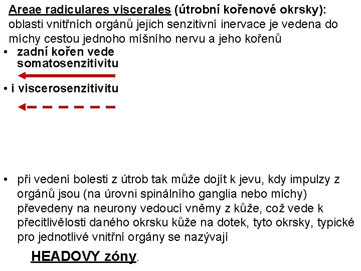 Areae radiculares viscerales (útrobní kořenové okrsky): oblasti vnitřních orgánů jejich senzitivní inervace je vedena