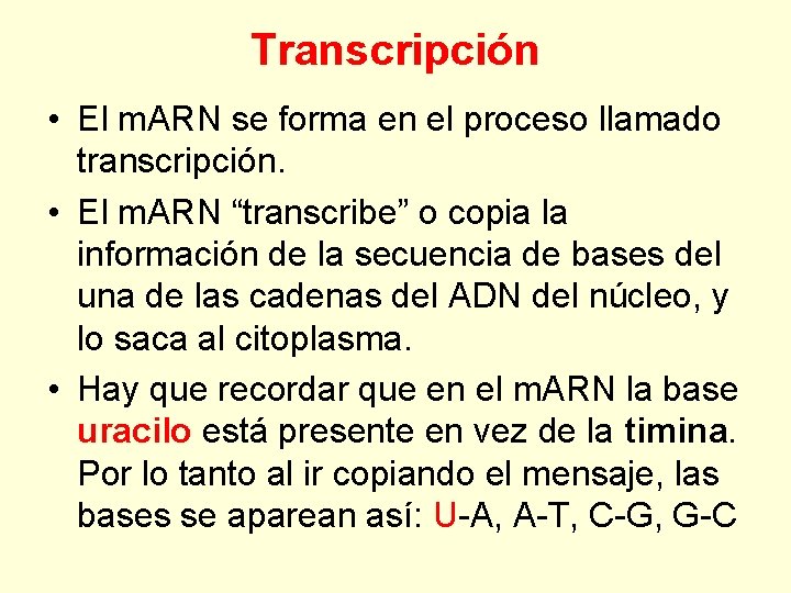 Transcripción • El m. ARN se forma en el proceso llamado transcripción. • El