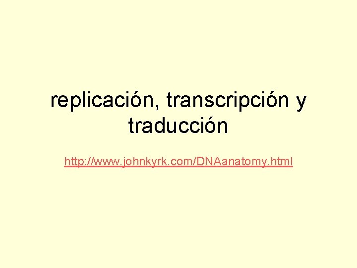 replicación, transcripción y traducción http: //www. johnkyrk. com/DNAanatomy. html 