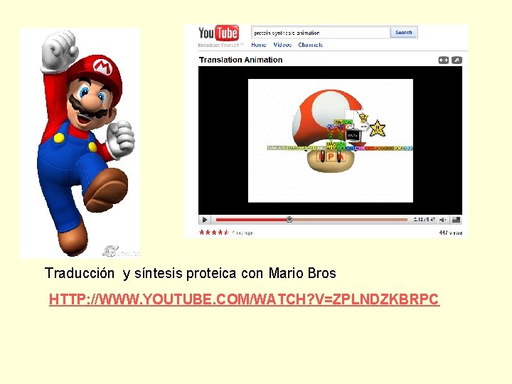 Traducción y síntesis proteica con Mario Bros HTTP: //WWW. YOUTUBE. COM/WATCH? V=ZPLNDZKBRPC 