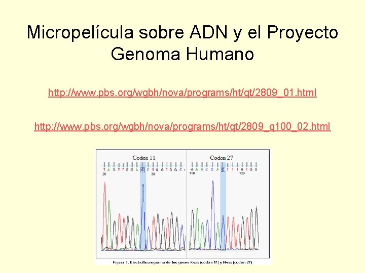 Micropelícula sobre ADN y el Proyecto Genoma Humano http: //www. pbs. org/wgbh/nova/programs/ht/qt/2809_01. html http: