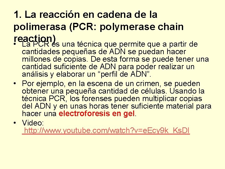 1. La reacción en cadena de la polimerasa (PCR: polymerase chain reaction) • La