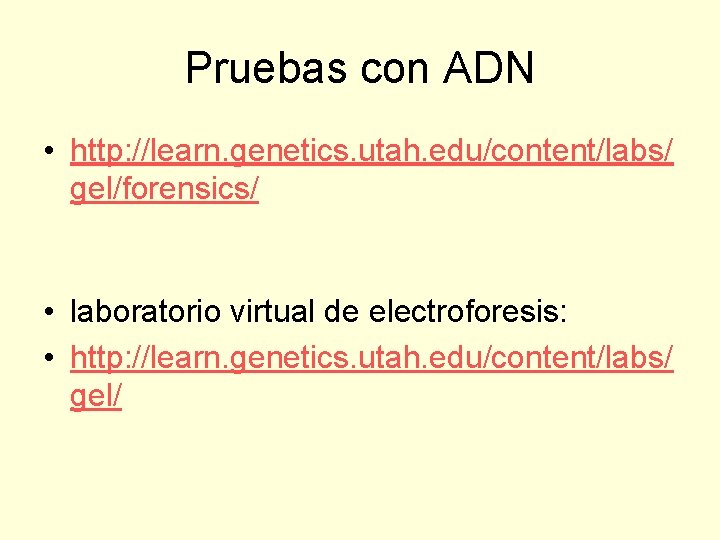 Pruebas con ADN • http: //learn. genetics. utah. edu/content/labs/ gel/forensics/ • laboratorio virtual de