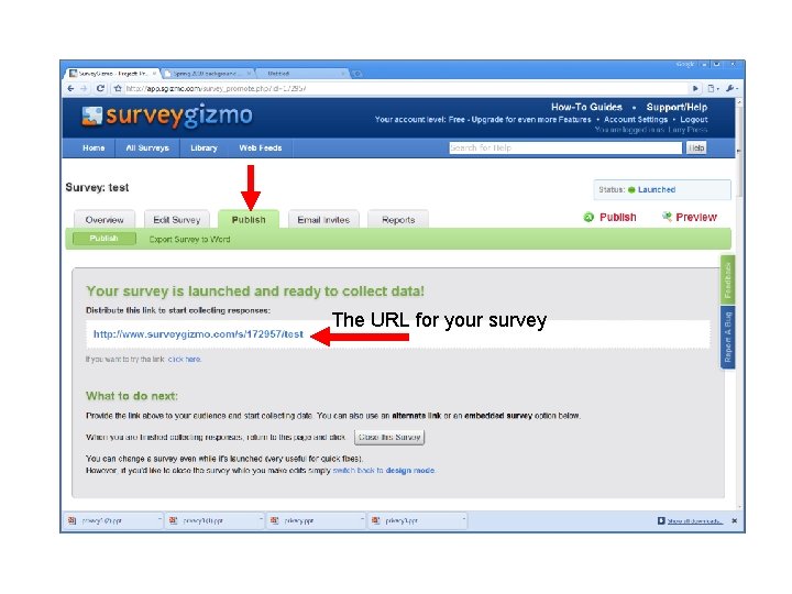 The URL for your survey 