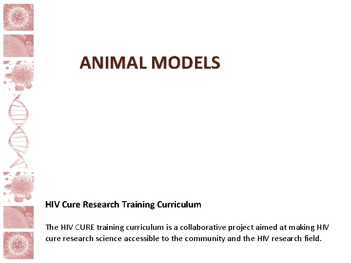 ANIMAL MODELS HIV Cure Research Training Curriculum The HIV CURE training curriculum is a