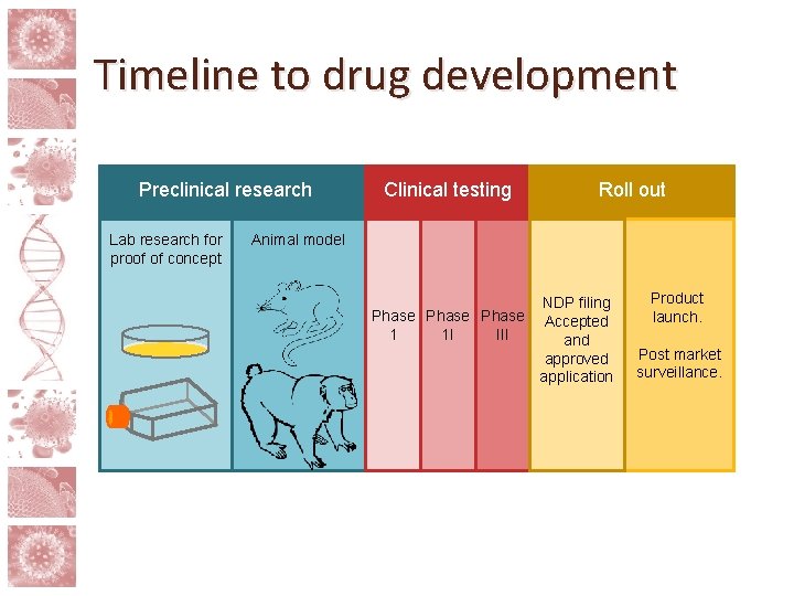 Timeline to drug development Preclinical research Lab research for proof of concept Clinical testing