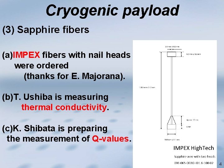 Cryogenic payload (3) Sapphire fibers (a)IMPEX fibers with nail heads were ordered (thanks for