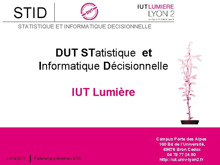 STID STATISTIQUE ET INFORMATIQUE DECISIONNELLE DUT STatistique et Informatique Décisionnelle IUT Lumière 14/10/2013 Partenariat