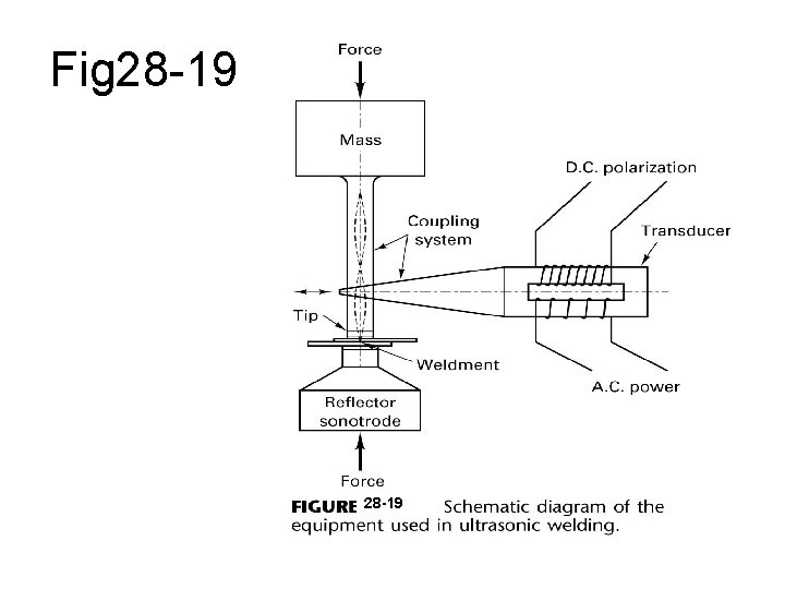 Fig 28 -19 