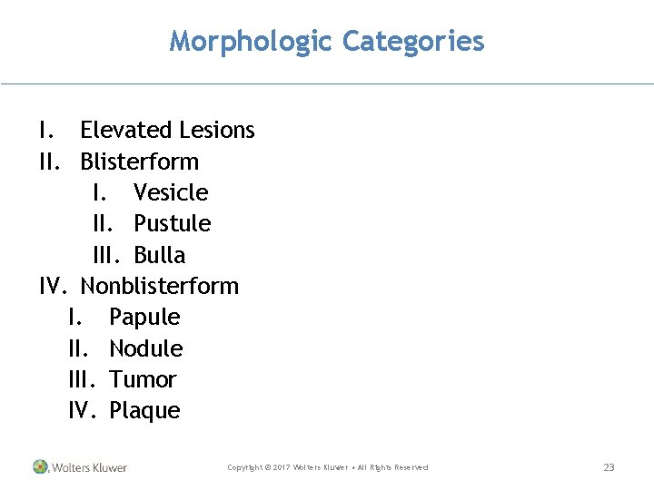 Morphologic Categories I. Elevated Lesions II. Blisterform I. Vesicle II. Pustule III. Bulla IV.