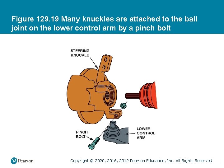 Figure 129. 19 Many knuckles are attached to the ball joint on the lower