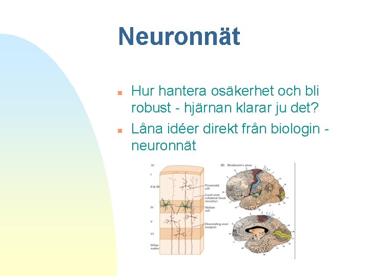 Neuronnät n n Hur hantera osäkerhet och bli robust - hjärnan klarar ju det?