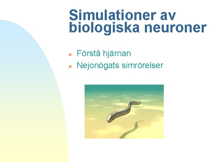 Simulationer av biologiska neuroner n n Förstå hjärnan Nejonögats simrörelser 