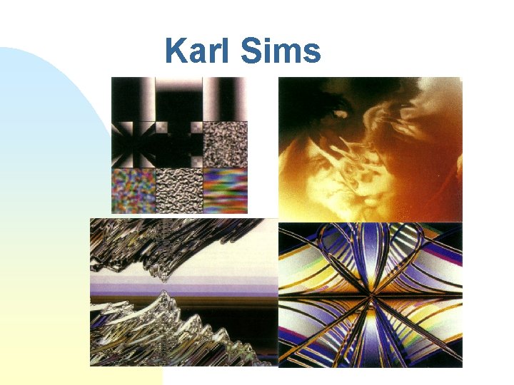 Karl Sims 