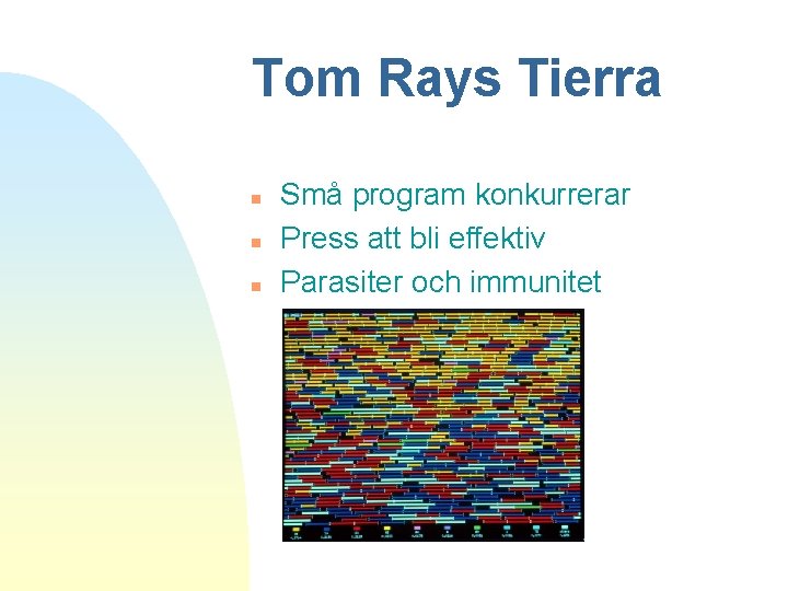 Tom Rays Tierra n n n Små program konkurrerar Press att bli effektiv Parasiter