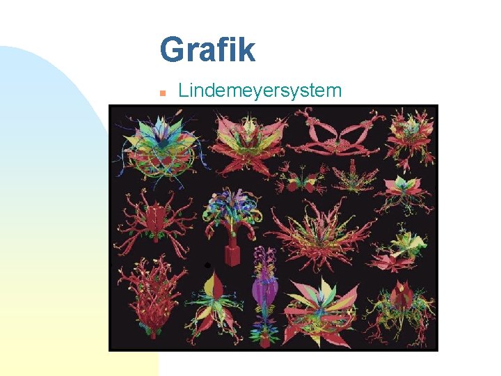 Grafik n Lindemeyersystem 