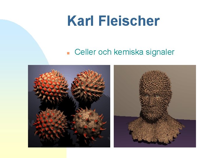 Karl Fleischer n Celler och kemiska signaler 
