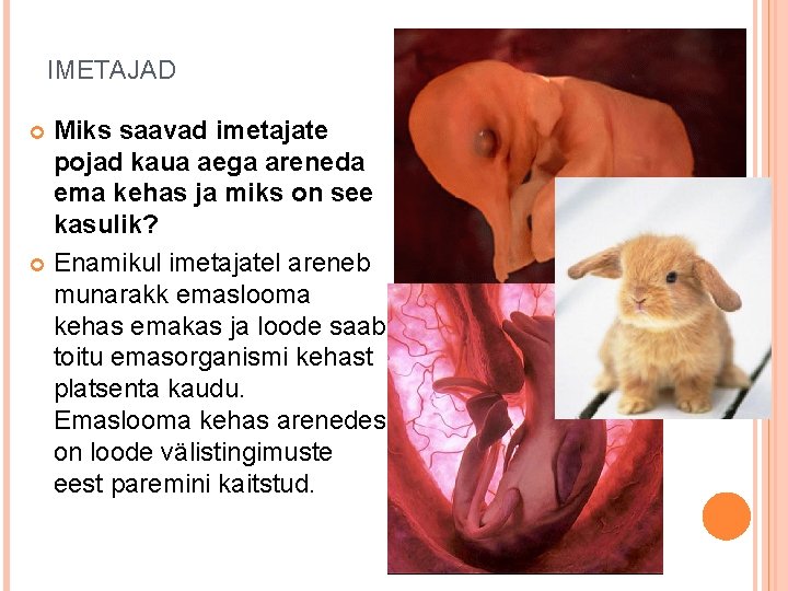 IMETAJAD Miks saavad imetajate pojad kaua aega areneda ema kehas ja miks on see IMETAJAD Miks saavad imetajate pojad kaua aega areneda ema kehas ja miks on see