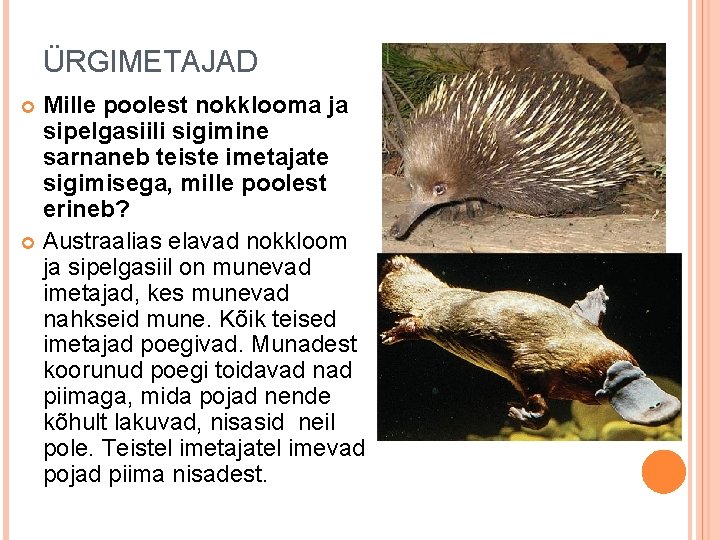 ÜRGIMETAJAD Mille poolest nokklooma ja sipelgasiili sigimine sarnaneb teiste imetajate sigimisega, mille poolest erineb? ÜRGIMETAJAD Mille poolest nokklooma ja sipelgasiili sigimine sarnaneb teiste imetajate sigimisega, mille poolest erineb?