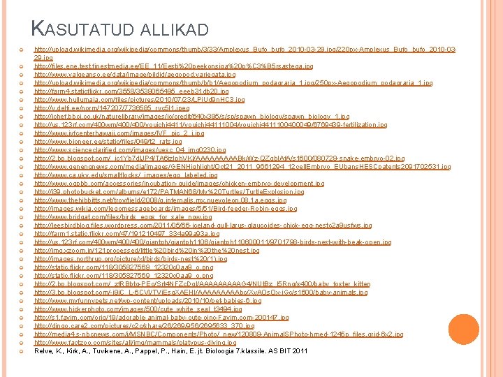 KASUTATUD ALLIKAD http: //upload. wikimedia. org/wikipedia/commons/thumb/3/33/Amplexus_Bufo_bufo_2010 -03 -29. jpg/220 px-Amplexus_Bufo_bufo_2010 -0329. jpg http: //files. KASUTATUD ALLIKAD http: //upload. wikimedia. org/wikipedia/commons/thumb/3/33/Amplexus_Bufo_bufo_2010 -03 -29. jpg/220 px-Amplexus_Bufo_bufo_2010 -0329. jpg http: //files.