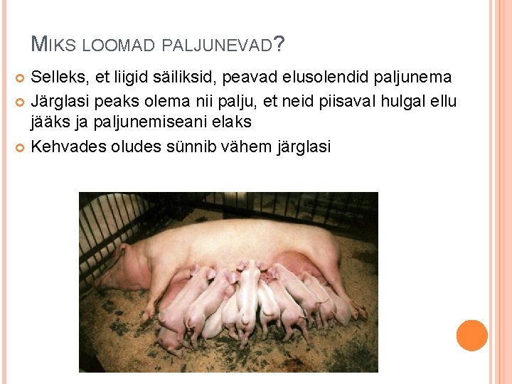 MIKS LOOMAD PALJUNEVAD? Selleks, et liigid säiliksid, peavad elusolendid paljunema Järglasi peaks olema nii MIKS LOOMAD PALJUNEVAD? Selleks, et liigid säiliksid, peavad elusolendid paljunema Järglasi peaks olema nii