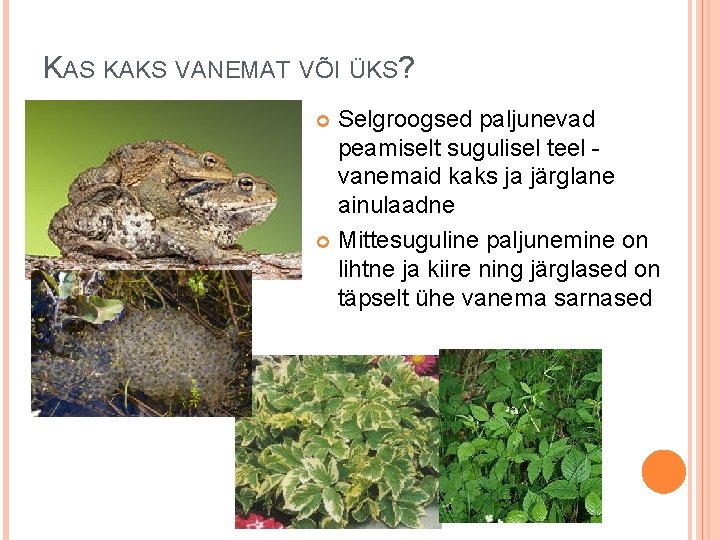 KAS KAKS VANEMAT VÕI ÜKS? Selgroogsed paljunevad peamiselt sugulisel teel vanemaid kaks ja järglane KAS KAKS VANEMAT VÕI ÜKS? Selgroogsed paljunevad peamiselt sugulisel teel vanemaid kaks ja järglane