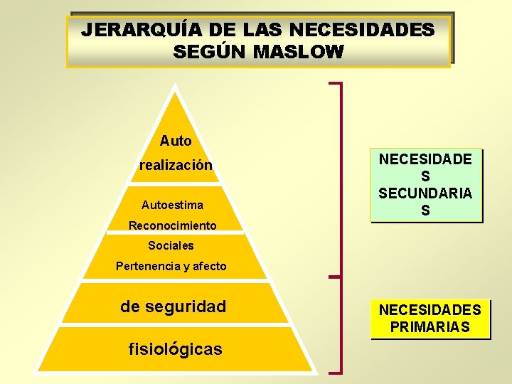 JERARQUÍA DE LAS NECESIDADES SEGÚN MASLOW Auto realización Autoestima NECESIDADE S SECUNDARIA S Reconocimiento