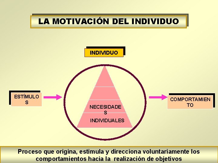 LA MOTIVACIÓN DEL INDIVIDUO ESTÍMULO S NECESIDADE S COMPORTAMIEN TO INDIVIDUALES Proceso que origina,