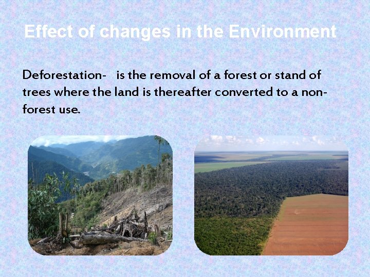 Effect of changes in the Environment Deforestation- is the removal of a forest or