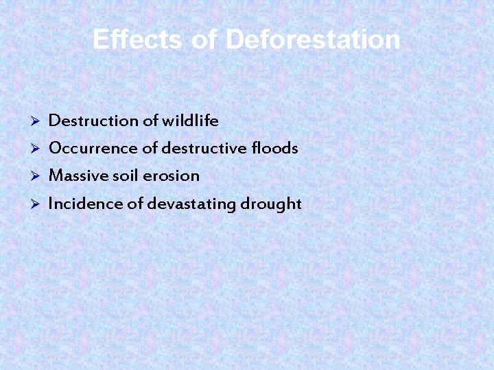 Effects of Deforestation Ø Ø Destruction of wildlife Occurrence of destructive floods Massive soil