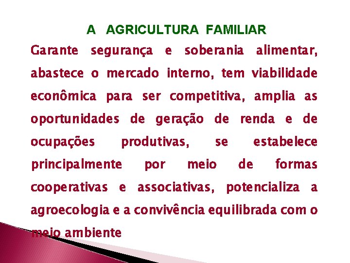 A AGRICULTURA FAMILIAR Garante segurança e soberania alimentar, abastece o mercado interno, tem viabilidade