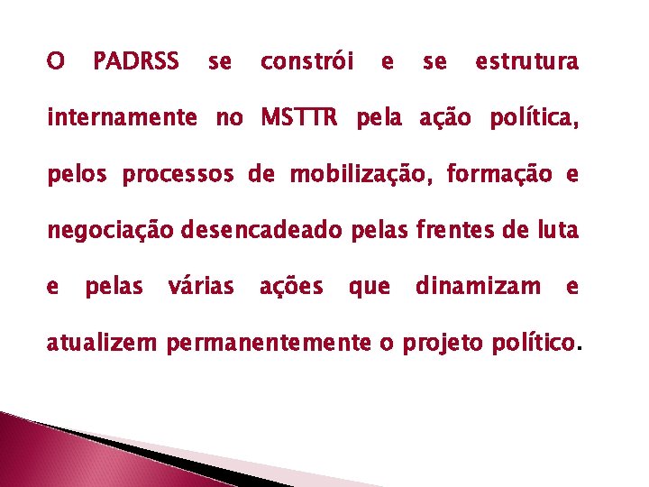O PADRSS se constrói e se estrutura internamente no MSTTR pela ação política, pelos