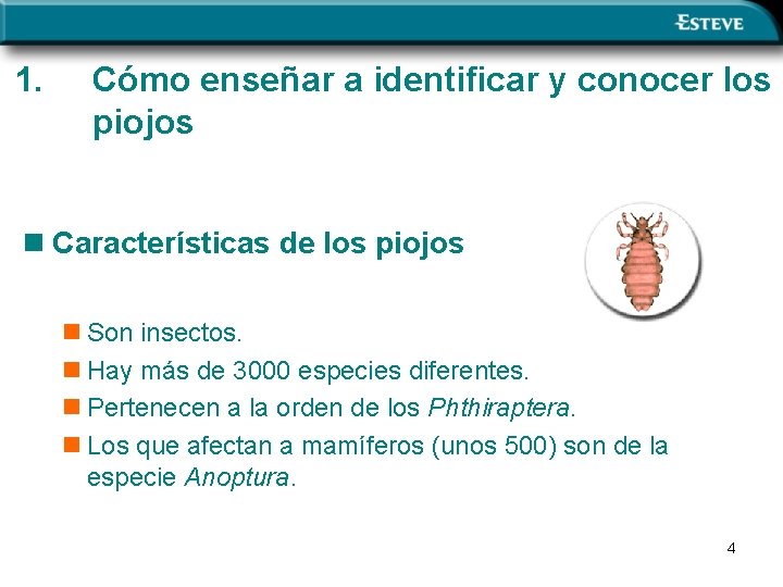 1. Cómo enseñar a identificar y conocer los piojos n Características de los piojos