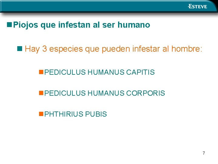 n. Piojos que infestan al ser humano n Hay 3 especies que pueden infestar