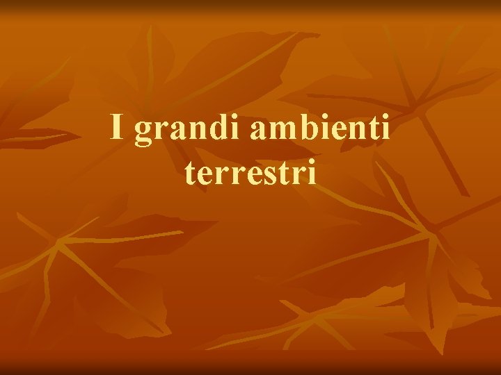 I grandi ambienti terrestri 