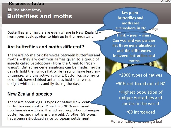 Reference: Te Ara Key point: butterflies and moths are everywhere in NZ Think –